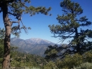 On the forestry road West of Jackson Flats campground, look East toward Baldy. - Wrightwood CA Photos
